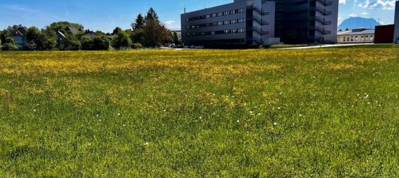 Grundstück in Attnang-Puchheim, Austria, Nr. 166401 2