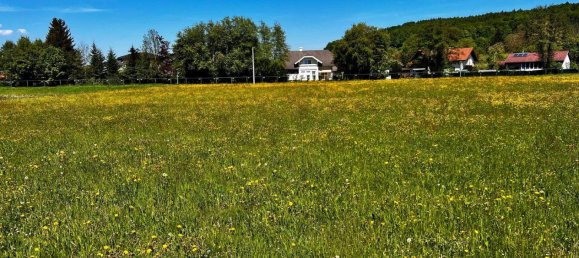 Grundstück in Attnang-Puchheim, Austria, Nr. 166401 4