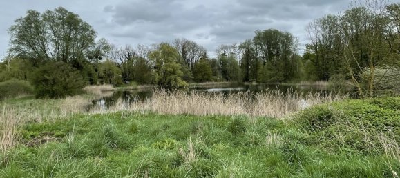 Terreno em Jonchery-sur-Vesle, France N.º 75975 7