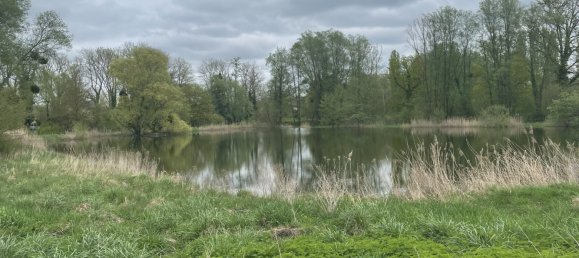 Terreno em Jonchery-sur-Vesle, France N.º 75975 2