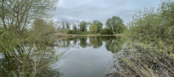 Terreno em Jonchery-sur-Vesle, France N.º 75975 5