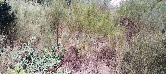 Земельный участок 4500м² в Траванка де Лагуш, Португалия № 89985 5