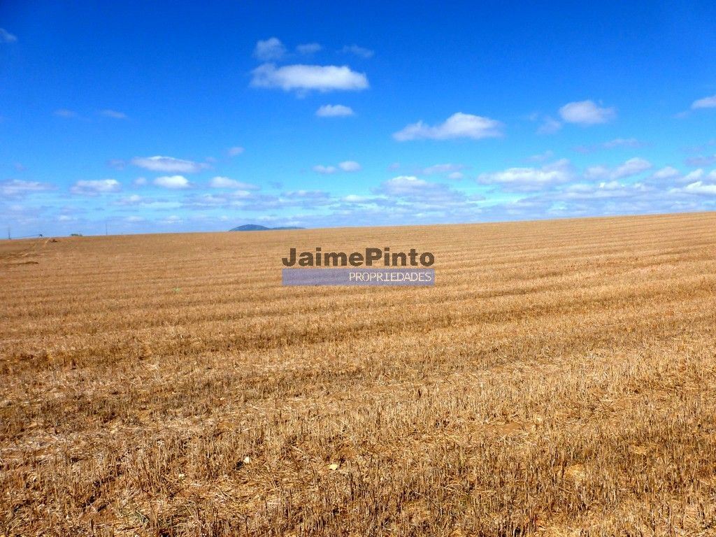 Terrain à Almeida, Portugal 2110000m² No. 294209