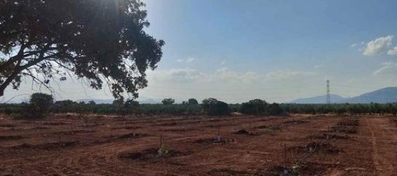 20000m² Land in Cuevas del Campo, Spain No. 136567 2