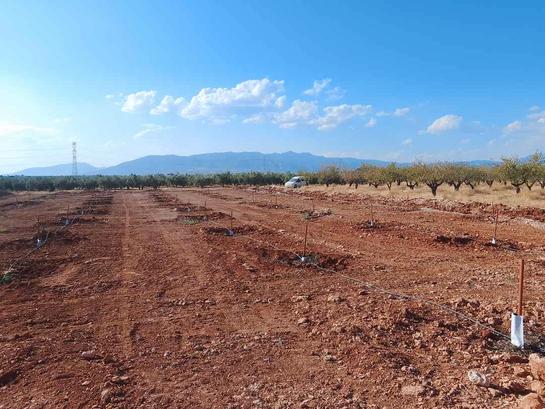 20000m² Land in Cuevas del Campo, Spain No. 136567