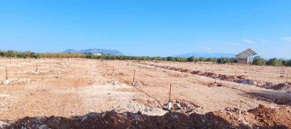 20000m² Land in Cuevas del Campo, Spain No. 136567 3