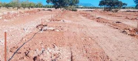 20000m² Land in Cuevas del Campo, Spain No. 136567 7