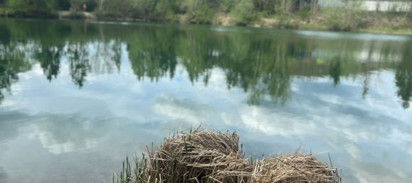 Terreno en Loosdorf, Austria 17437 m² No. 137603 5