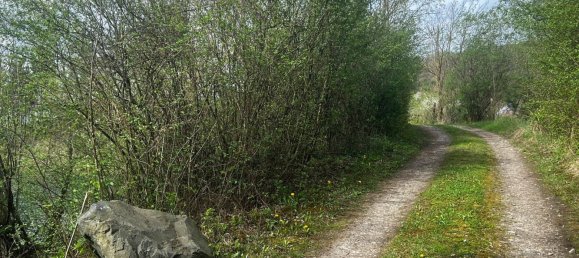 Terreno en Loosdorf, Austria 17437 m² No. 137603 21