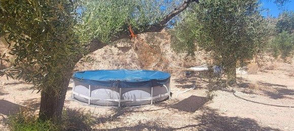 2 bedrooms House in La Romana, Spain No. 170319 19