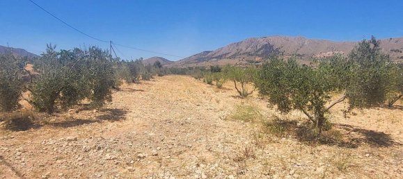 2 bedrooms House in La Romana, Spain No. 170319 24