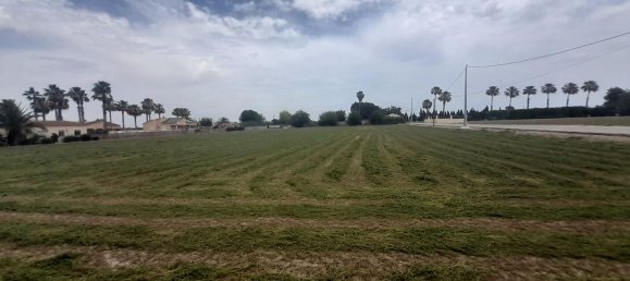 3 Schlafzimmer Haus in Dolores, Spain, Nr. 153276 21