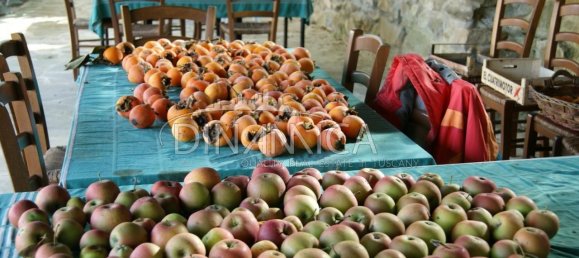 7 rooms House in Quarrata, Italy No. 224629 42