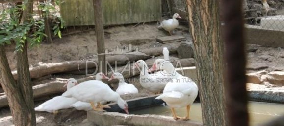 7 rooms House in Quarrata, Italy No. 224629 20