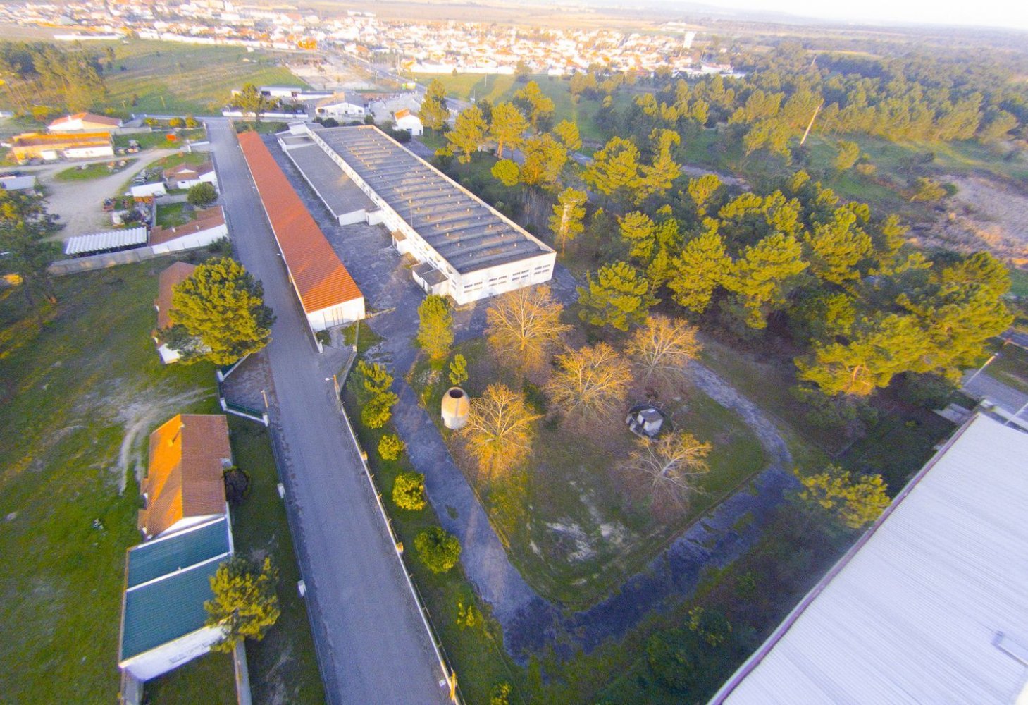  مستودع في Muge, Portugal 18800متر مربع رقم 205009