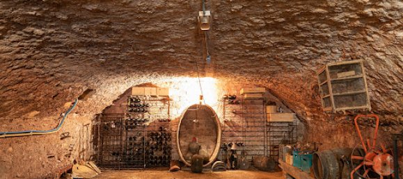 4 Schlafzimmer Haus in Charentay, France, Nr. 202759 11