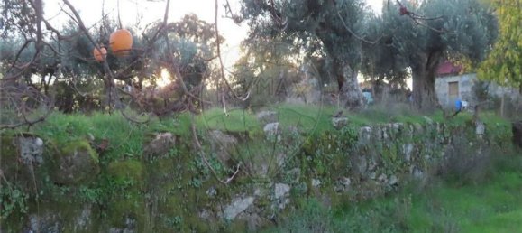 1 bedroom House in Fundao, Portugal No. 90665 41