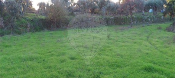 1 bedroom House in Fundao, Portugal No. 90665 35