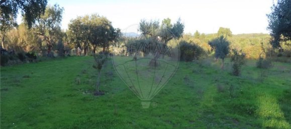 1 bedroom House in Fundao, Portugal No. 90665 4