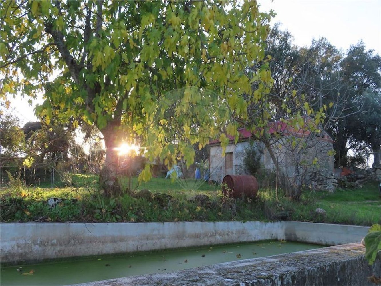 1 bedroom House in Fundao, Portugal No. 90665