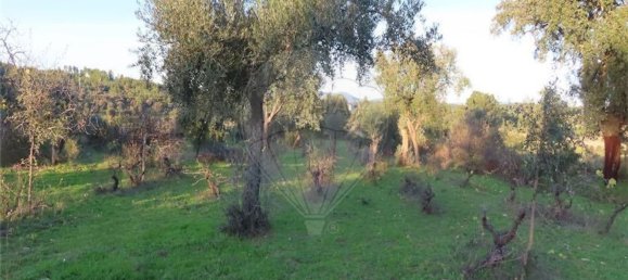 1 bedroom House in Fundao, Portugal No. 90665 30