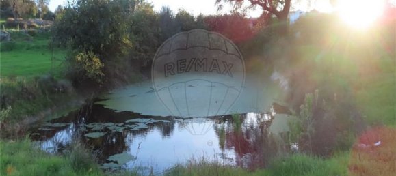 1 bedroom House in Fundao, Portugal No. 90665 16