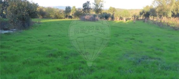 1 bedroom House in Fundao, Portugal No. 90665 24