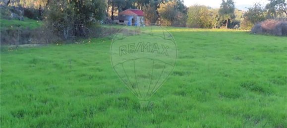 1 bedroom House in Fundao, Portugal No. 90665 25