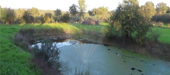 1 bedroom House in Fundao, Portugal No. 90665 18