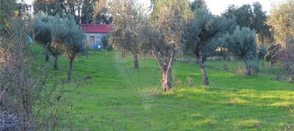 1 bedroom House in Fundao, Portugal No. 90665 31