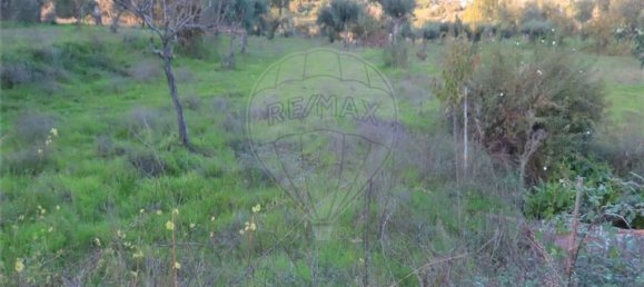 1 bedroom House in Fundao, Portugal No. 90665 39