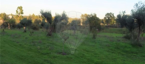 1 bedroom House in Fundao, Portugal No. 90665 43