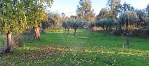 1 bedroom House in Fundao, Portugal No. 90665 6