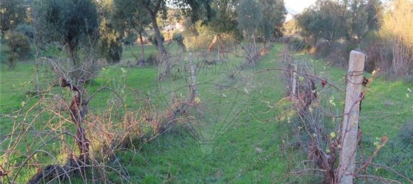 1 bedroom House in Fundao, Portugal No. 90665 32