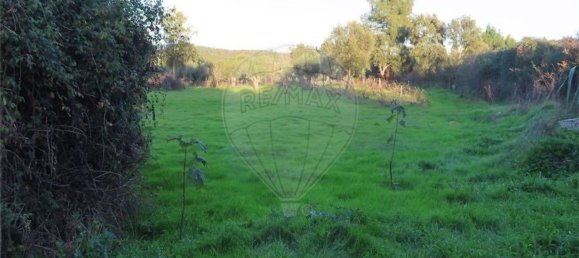 1 bedroom House in Fundao, Portugal No. 90665 23