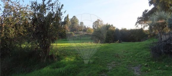 1 bedroom House in Fundao, Portugal No. 90665 10