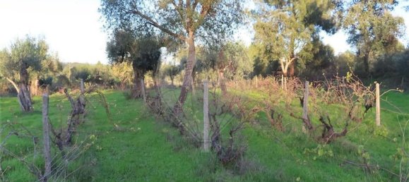 1 bedroom House in Fundao, Portugal No. 90665 28