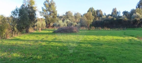 1 bedroom House in Fundao, Portugal No. 90665 45