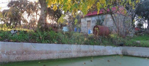 1 bedroom House in Fundao, Portugal No. 90665 2