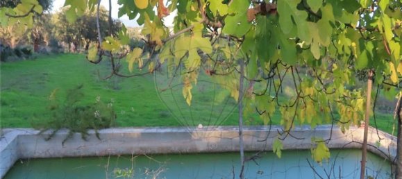 1 bedroom House in Fundao, Portugal No. 90665 7