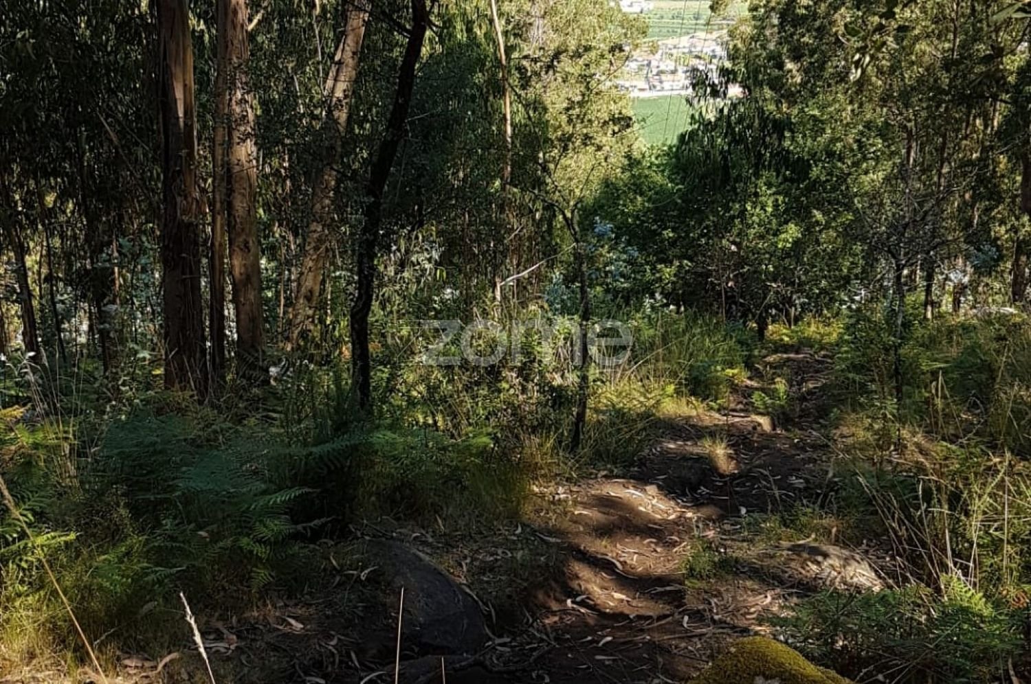 13600m² Land in Vila Nova de Famalicao, Portugal No. 33915