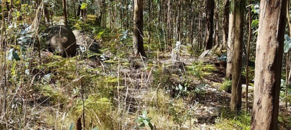 13600m² Land in Vila Nova de Famalicao, Portugal No. 33915 2