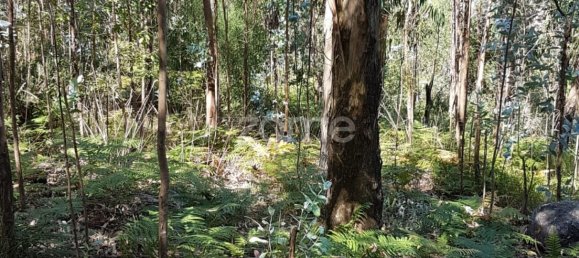 13600m² Land in Vila Nova de Famalicao, Portugal No. 33915 4