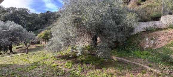 7 rooms House in Luras, Italy No. 141632 19