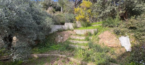 7 rooms House in Luras, Italy No. 141632 26