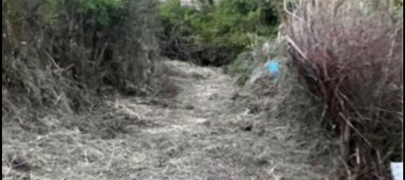 Grundstück in Montelepre, Italy, Nr. 133760 2