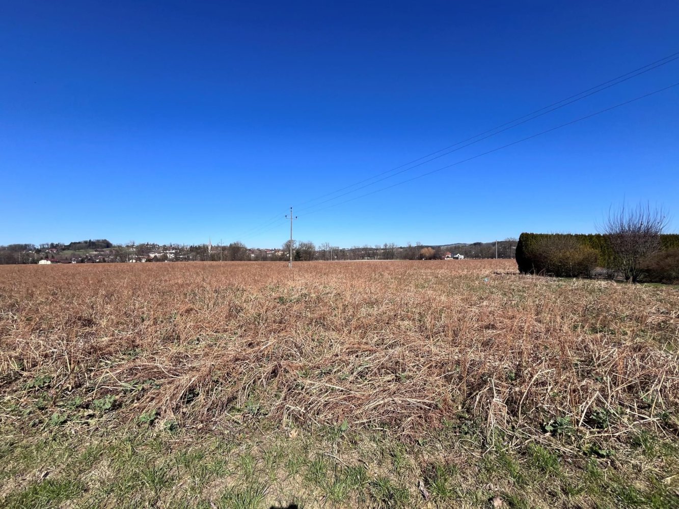  Land in Taufkirchen an der Pram, Austria No. 134178