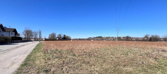  Land in Taufkirchen an der Pram, Austria No. 134178 5