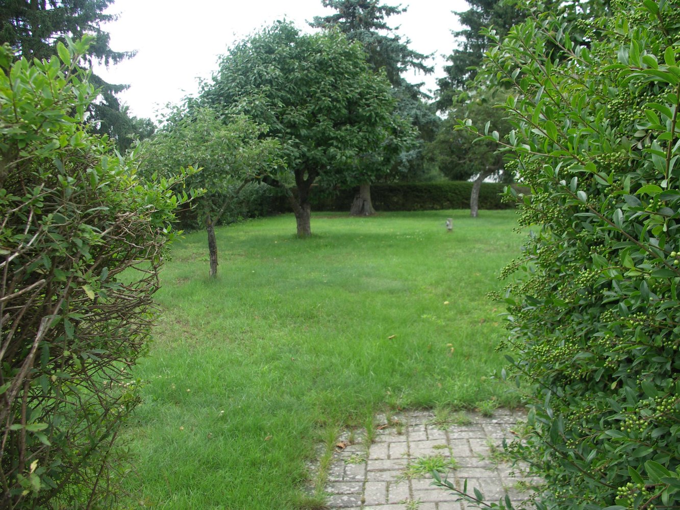  Land in Oberhavel, Germany No. 269673