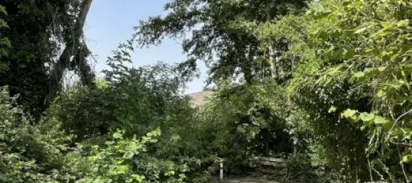 Бунгало с 3 спальнями в Рейн-Зиг, Германия № 197026 4